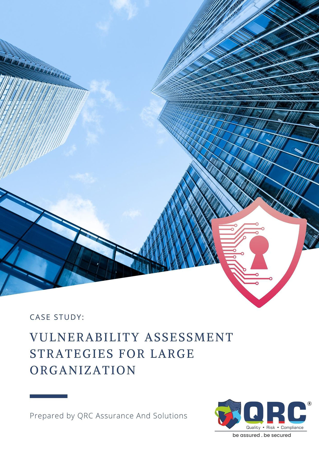 Vulnerability Assessment Strategies for large organizations