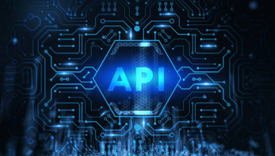 API Security Testing